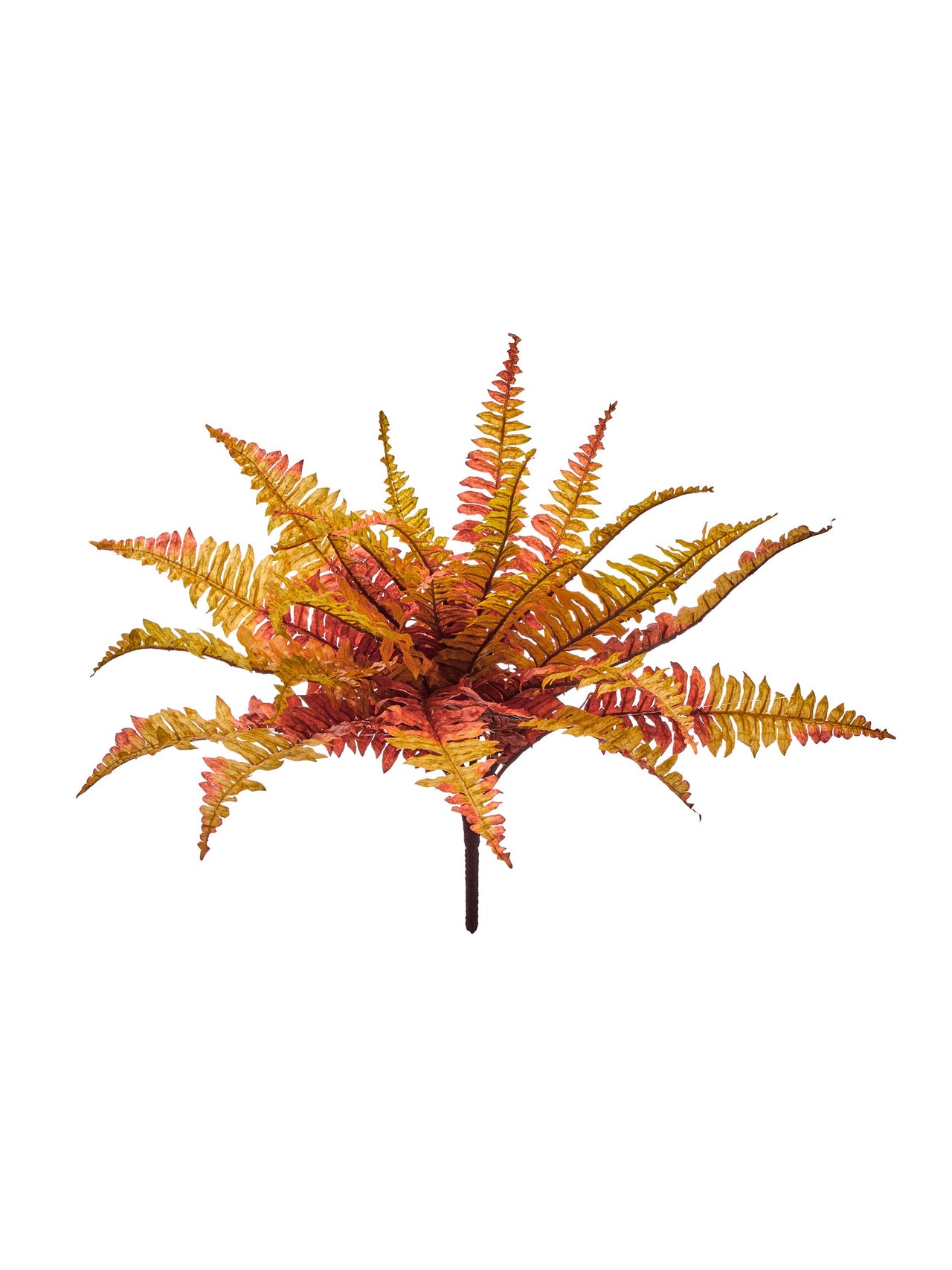 19" Uv Autumn Fern Plant X24