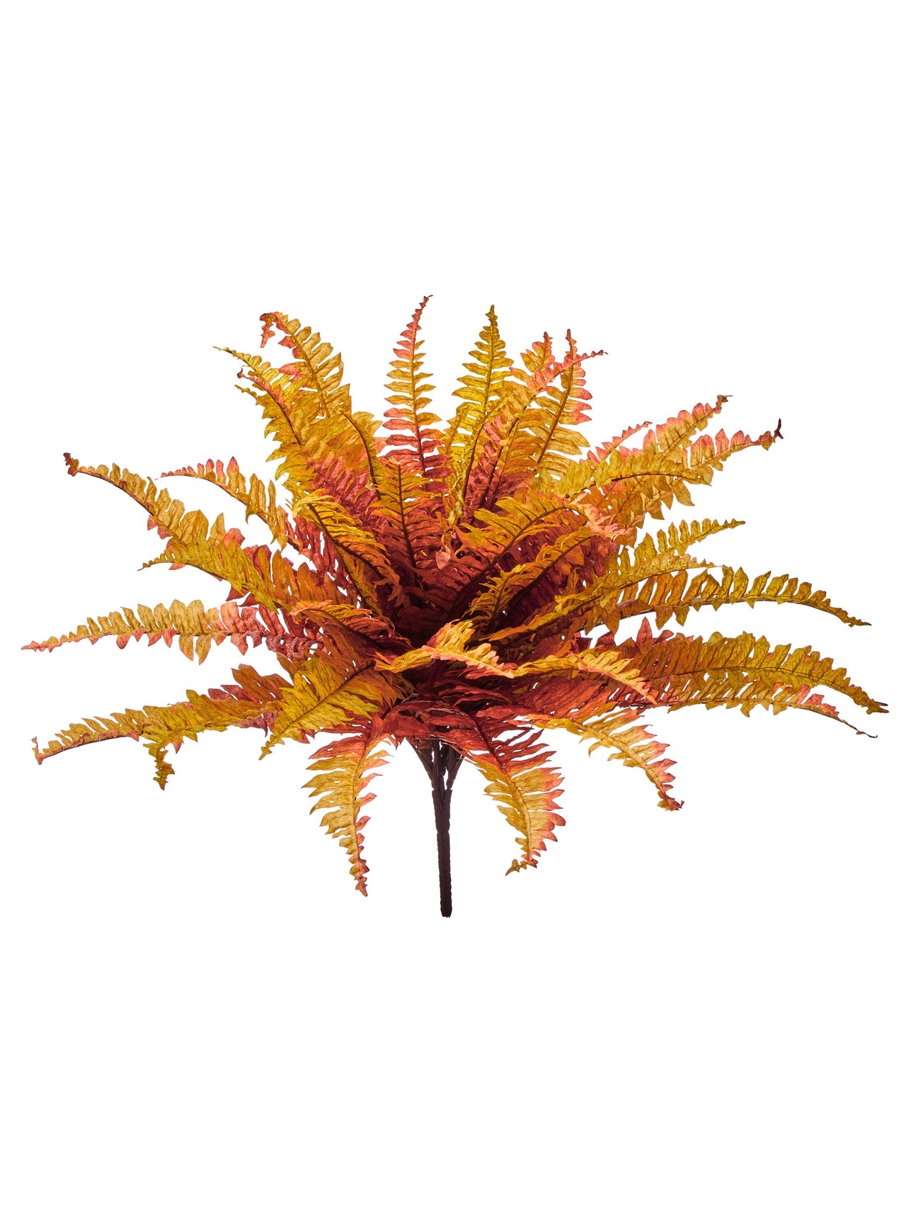 21" Uv Autumn Fern Plant X42