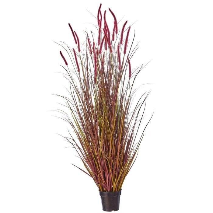 60" Uv Potted Autumn Fountain Plume Grass