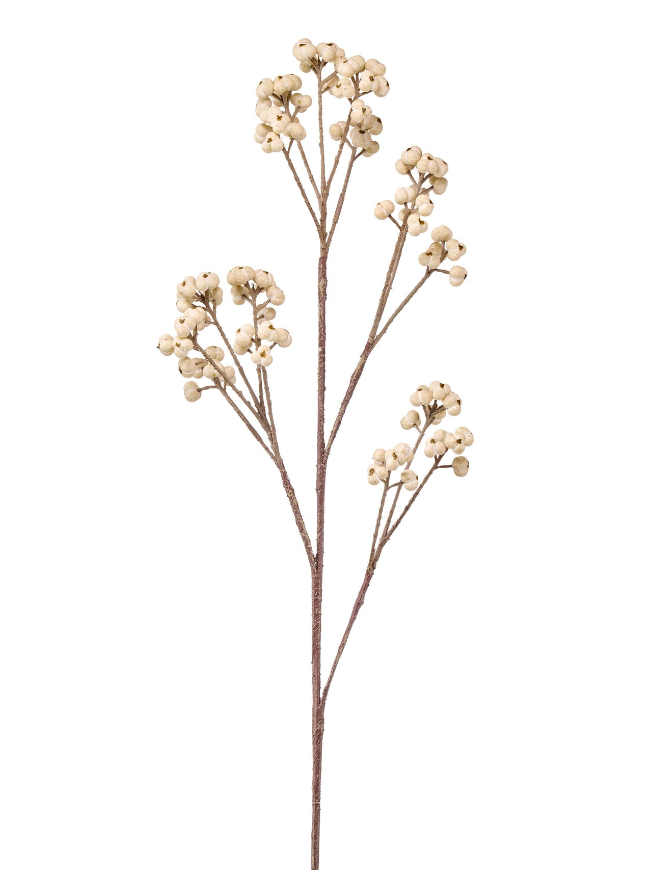 32" Uv Tallow Berry Spray