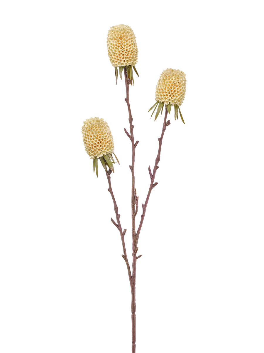 29" Autumn Thistle X3
