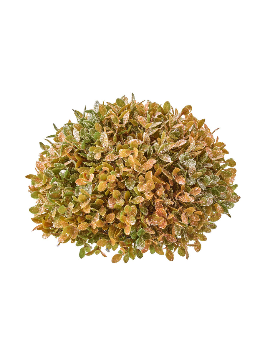 7"Autumn  Boxwood Mound