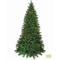 6.5' Led Dlx Belgium 400Lt 865T