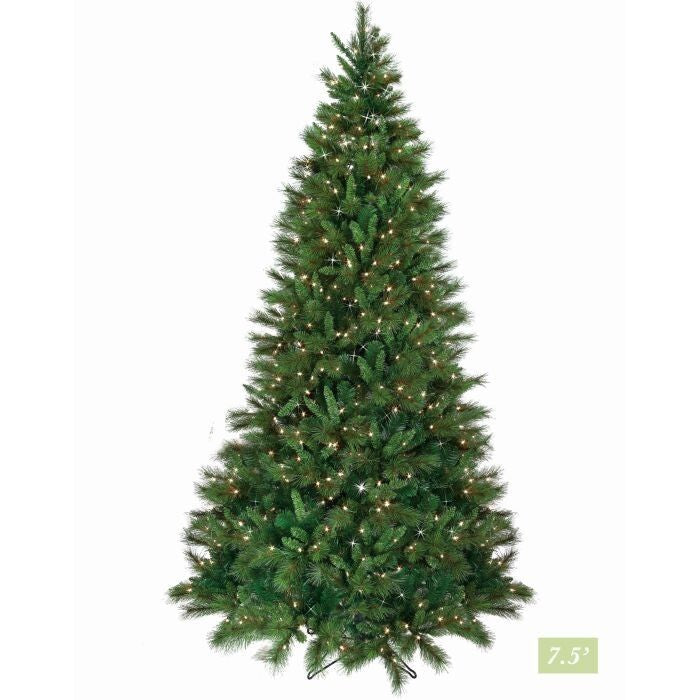 6.5' Led Dlx Belgium 400Lt 865T