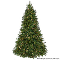 Led Dlx Belgium Tr. 10Ft, 1400L 75