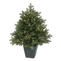 Lit Potted Green Spruce Tree 36