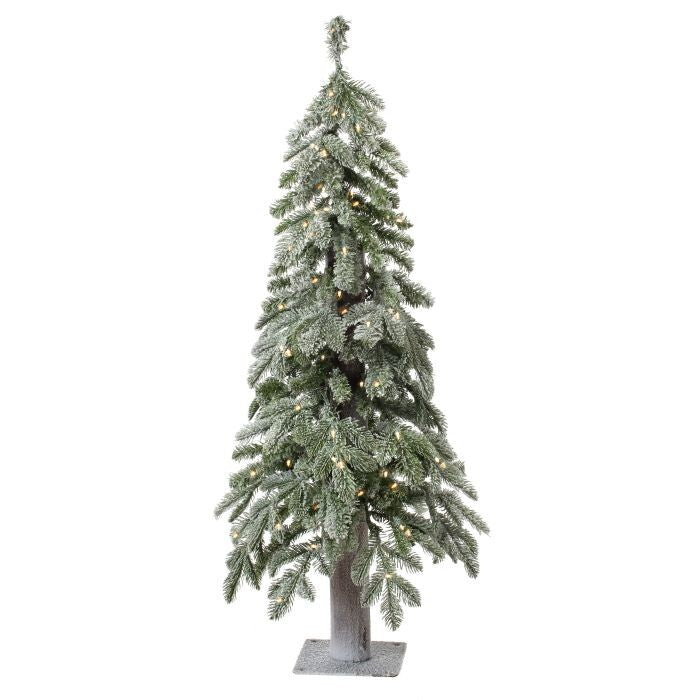 5Mled Winter Frost Alpine Tree 4' 22"D 160L"