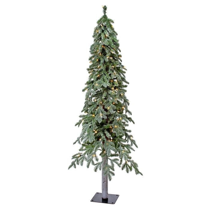 5Mled Winter Frost Alpine Tree 5' 26"D 200L"