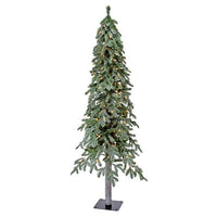 5Mled Winter Frost Alpine Tree 5' 26