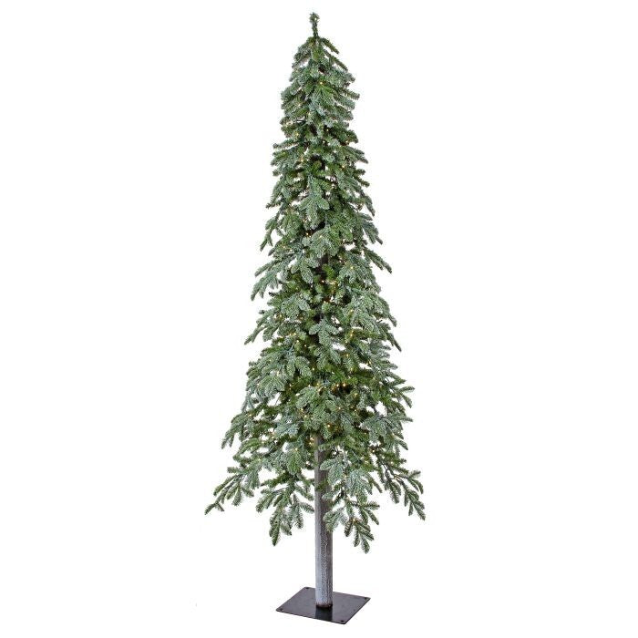 5Mled Winter Frost Alpine Tree 7' 36"D 420L"