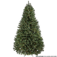 6.5' Led Colorado Sprce Tr 1315T 50