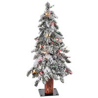 2' Twinklelit Flk Elk Pass Alpinex82 13