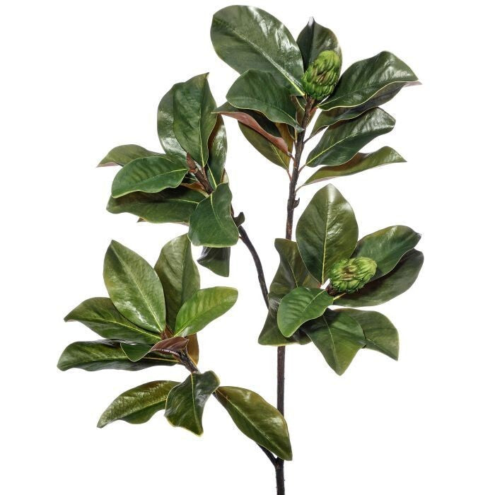 44" Grand Magnolia Leaf Branch W/Pods