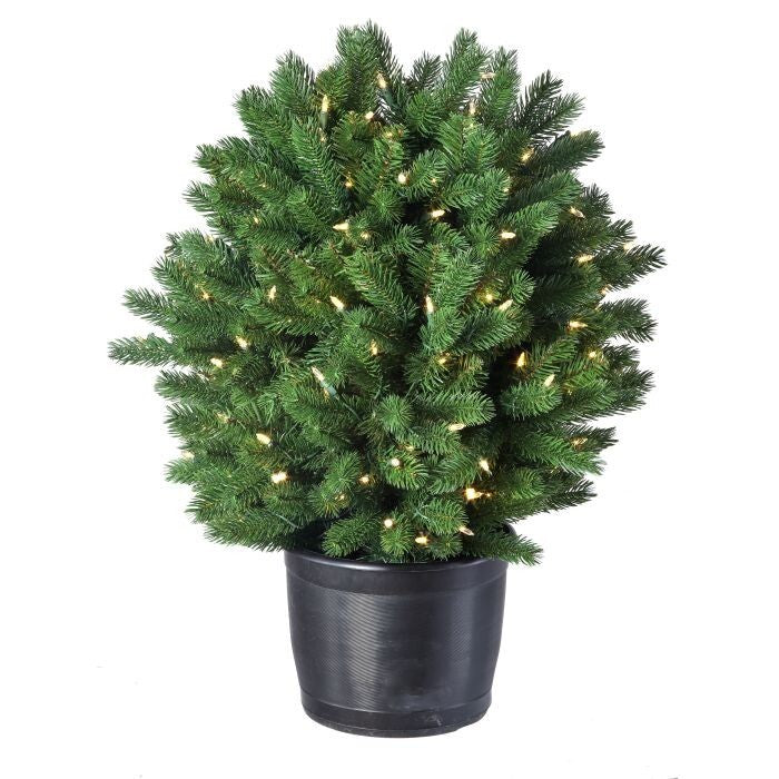 30" Led Ptd.Colorado Sp Shrub 23"D 150L