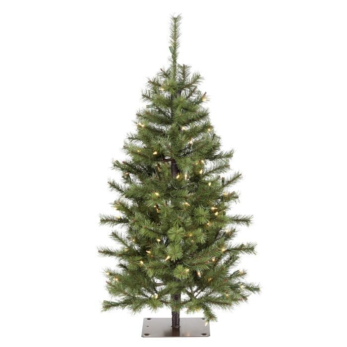 3' Lit Asheville Alpine Tree 218T 22"D 100L