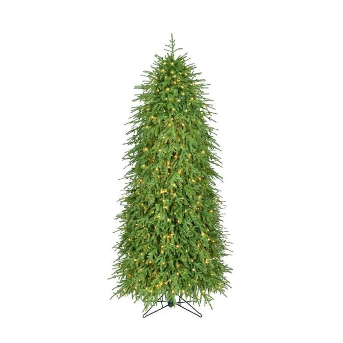6' 3Mled Ep Nat Tch Norfolk Tree 698T34"D550L