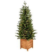 4' Led Ptd Ornamental Pine Tree 235T25
