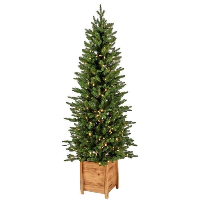 5' Led Ptd Ornamental Pine Tree 385T28"D 250L
