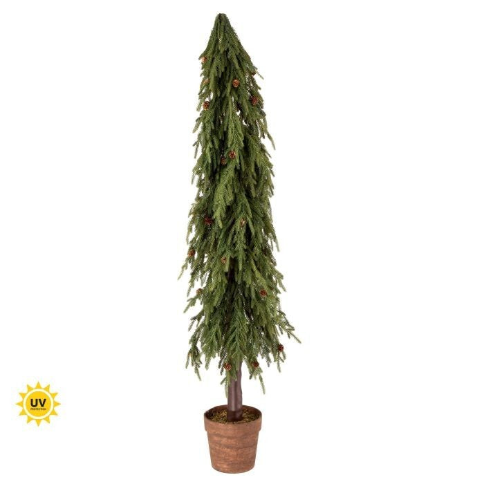 60" Uv Potted Soft Touch Norfolk Pine Tr 155T