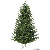 6.5' Layerd Balsam Treex1086T 55