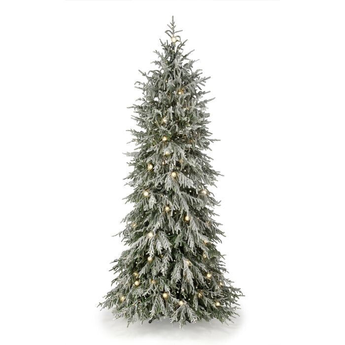 7.5'Microled Snowy Norfolk Tree60"D750L+63G40
