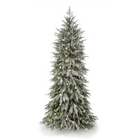 7.5'Microled Snowy Norfolk Tree60