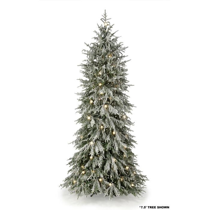 9'Microled Snowynorfolk Tree 72"D1200L+77G40