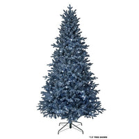 6' Led Blue Bavarian Spruce Tr 250L 1556T42