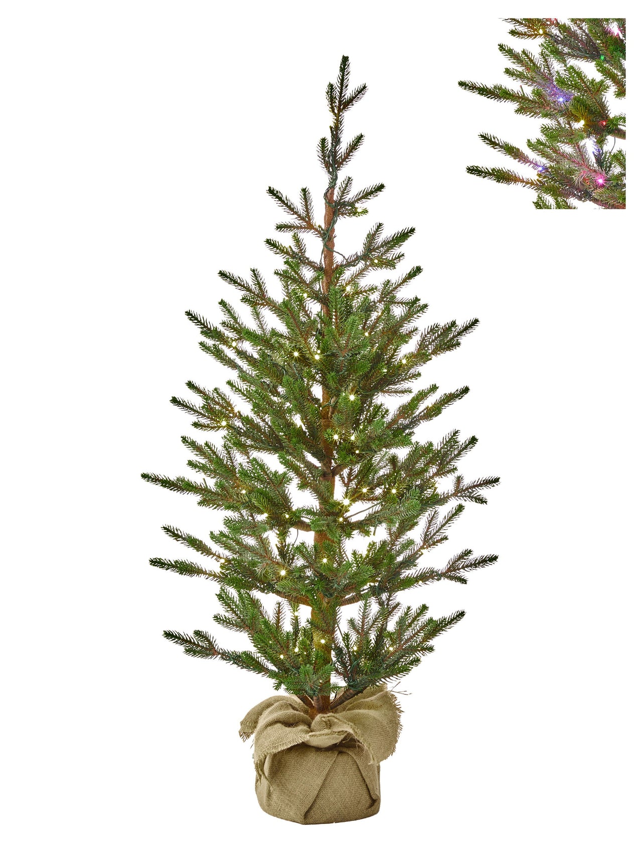 4'Dual3Mmled Sapling Sprce Treenburlp24"D100L