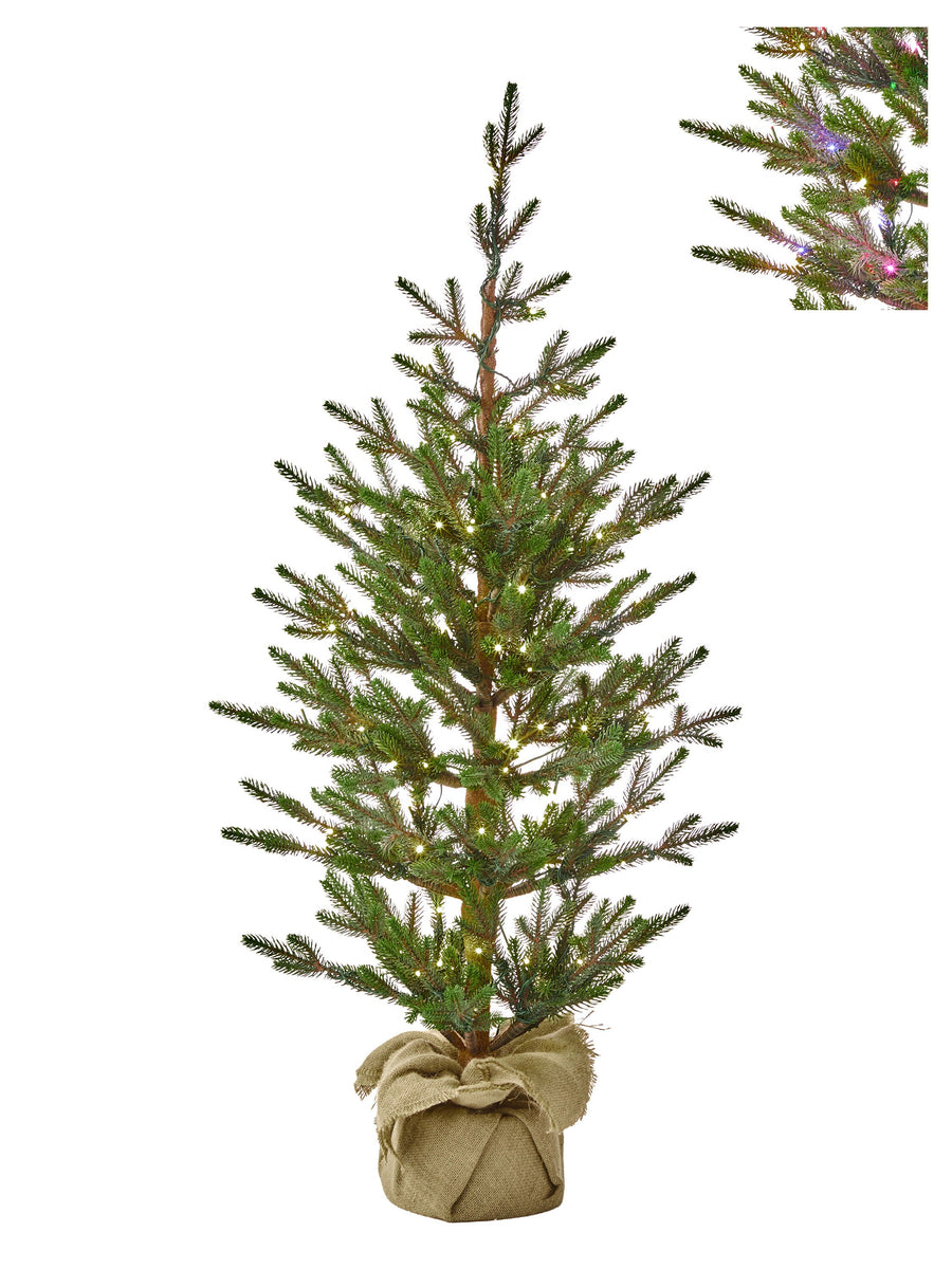 4'Dual3Mmled Sapling Sprce Treenburlp24"D100L