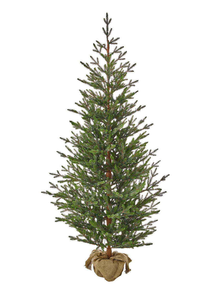 7' Sapling Spruce Treen Burlap X442T 44"D