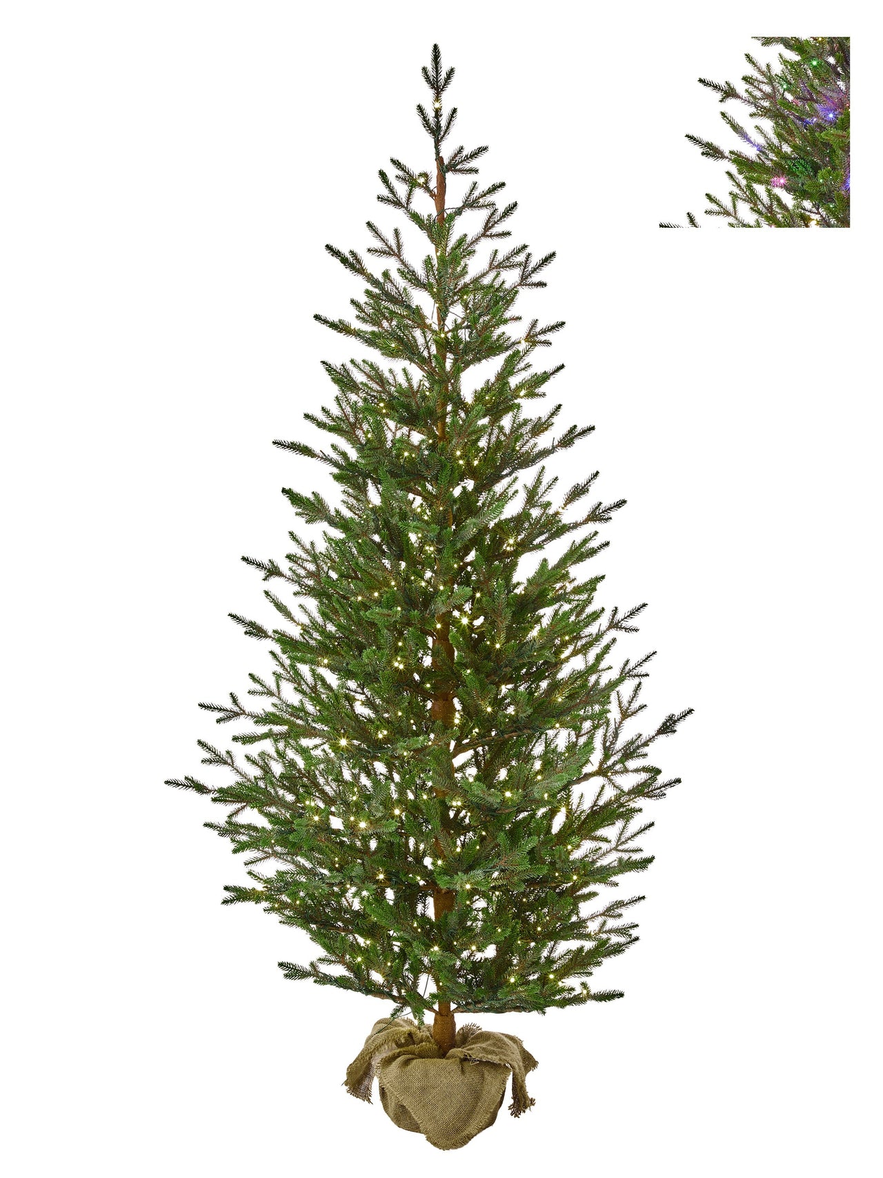 7'Dual3Mmled Sapling Sprce Treenburlp44"D450L