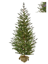 7'Dual3Mmled Sapling Sprce Treenburlp44