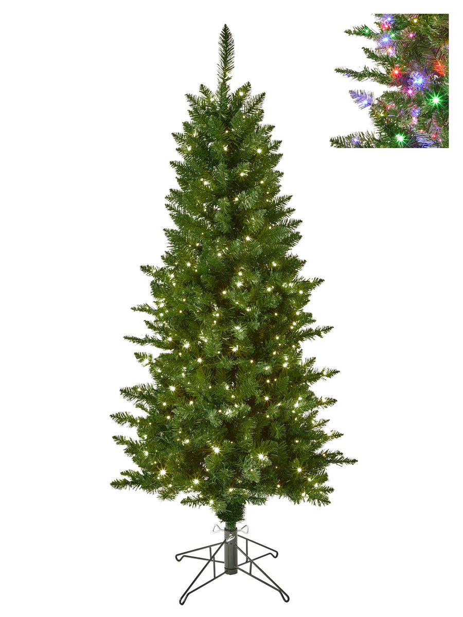 5'Dual3Mmled Forest Fir Treex511T30"D300L