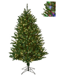 6.5'Dual3Mmled Royal Fir Treex1383T 48