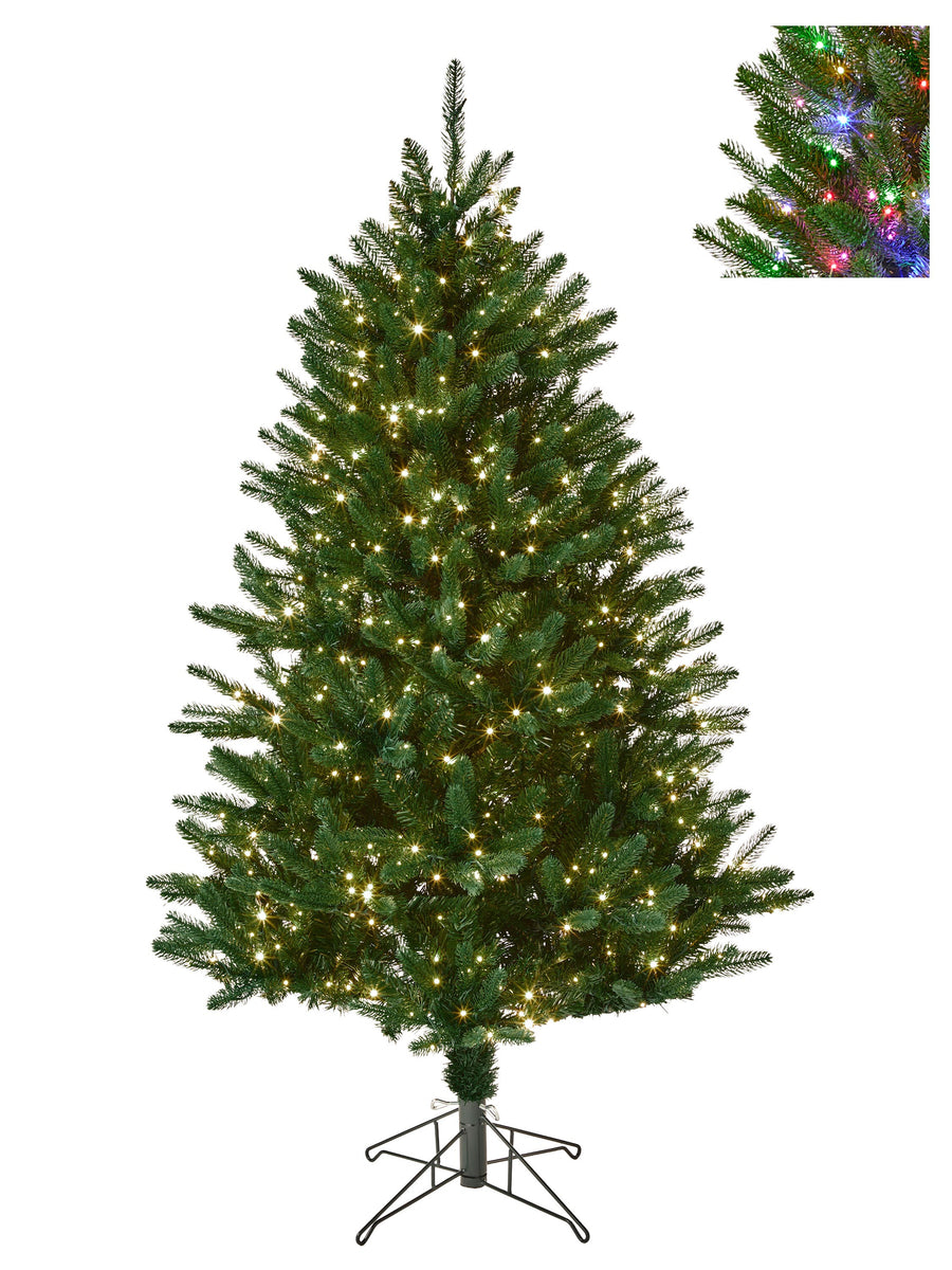 6.5'Dual3Mmled Royal Fir Treex1383T 48"D1050L