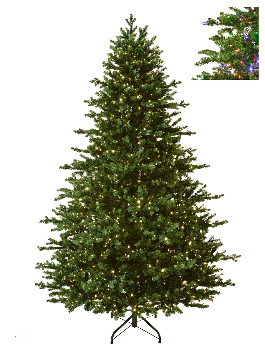 12'Dual3Mmled  Windsor Sp Tree16125T82"D3650L