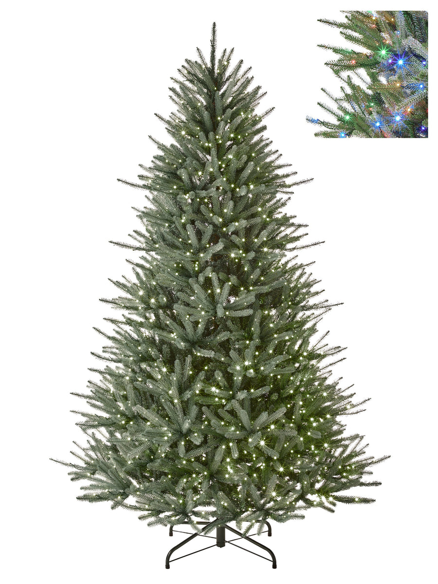 6.5'Dual3Mmled  Cape May  Treex1452T54"D950L