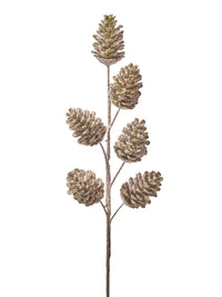 25