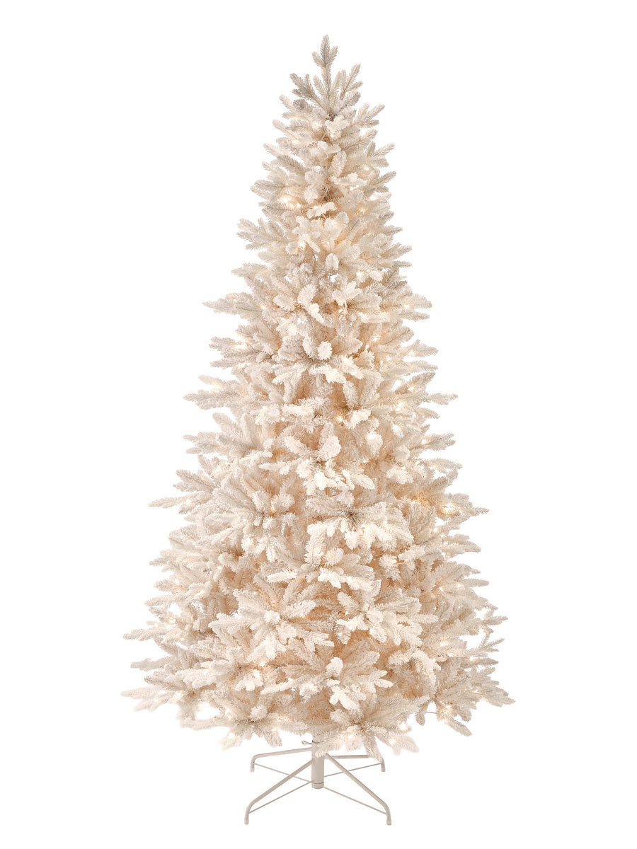 7.5'Led Cream Bavarian Spruce Tr450L2125T50D