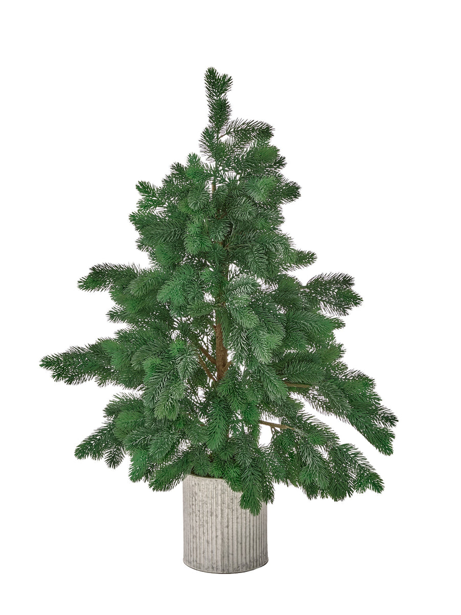 48" Potted Princess Pine Tree