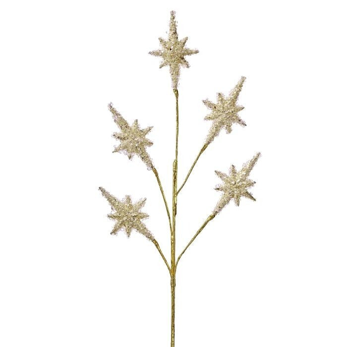 29" Iced Star Of Bethleham Spray X5