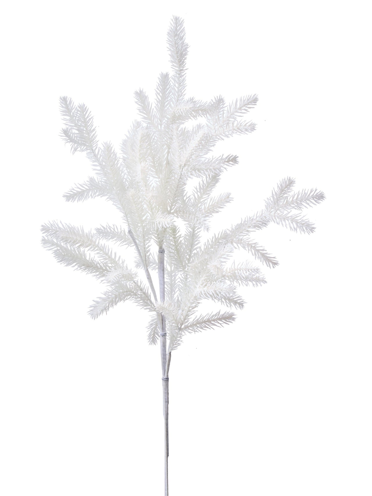 28' Norwegian  Mini Noble Fir Spray