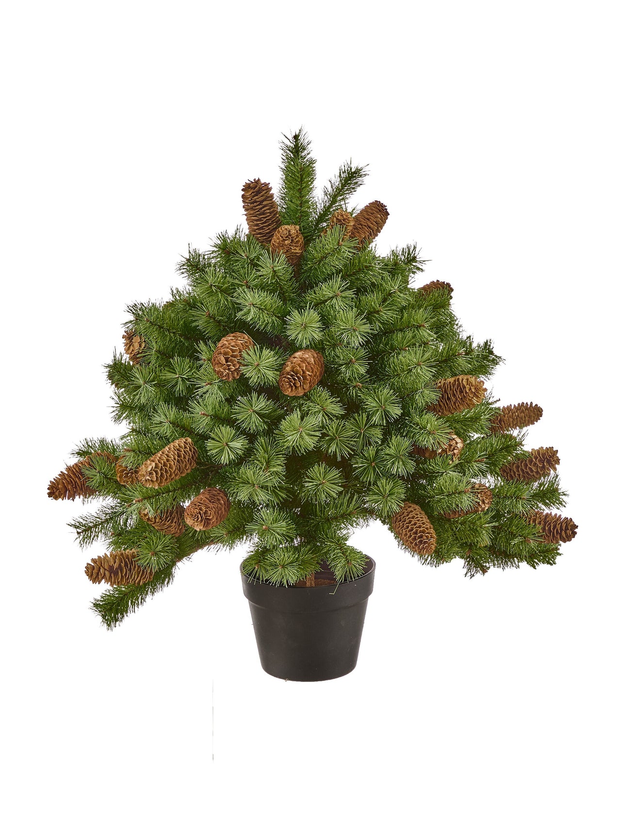 26" Potted Hard Needle W/Cone Tree