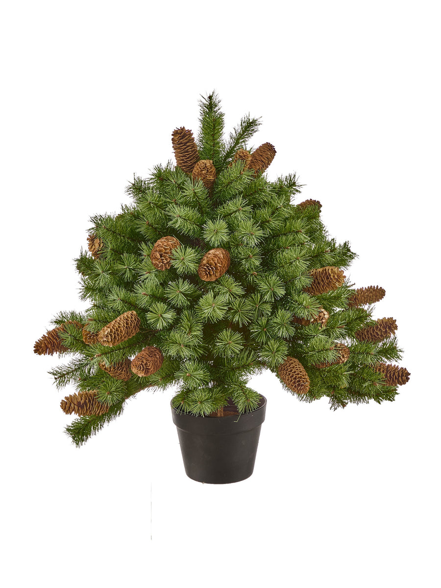 26" Potted Hard Needle W/Cone Tree