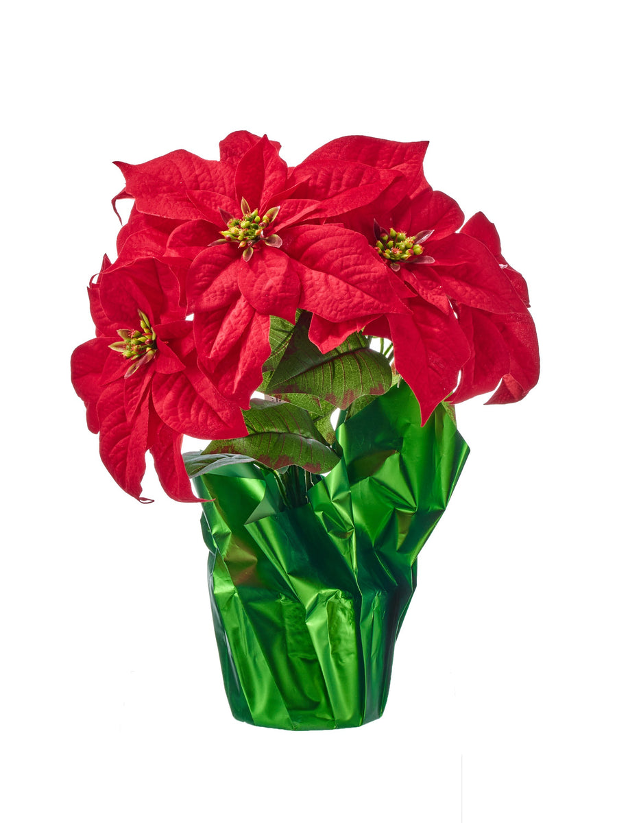 14" Wp Potted Poinsettia Bush X5