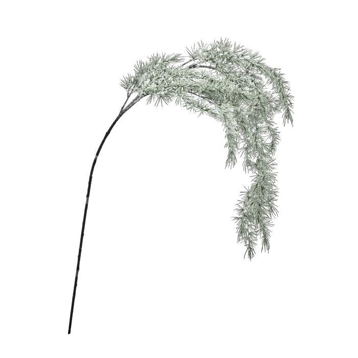 58" Frosted Weeping Atlas Pine Spray