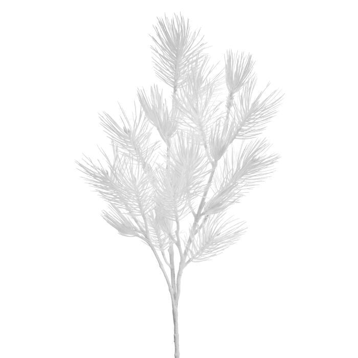 50" Snow Mountain Pine W/Cone Branch