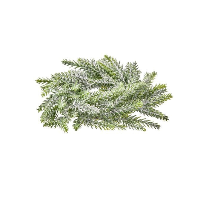8"Mini Frost Frasier Fir Candle Ring 3.5"Id