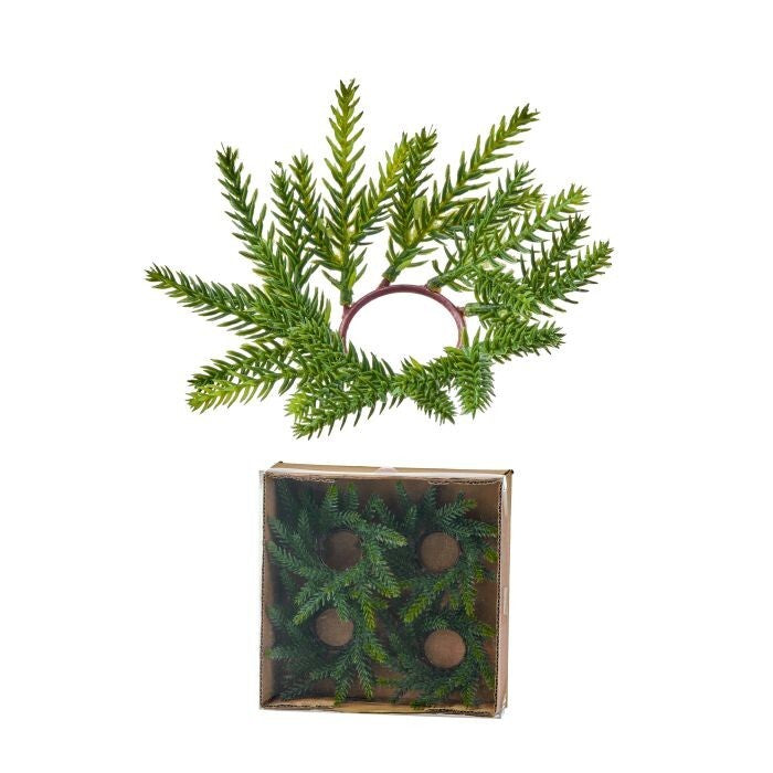 4" Mini Frasier Fir Candle Ring 1.5"Id Bx/4